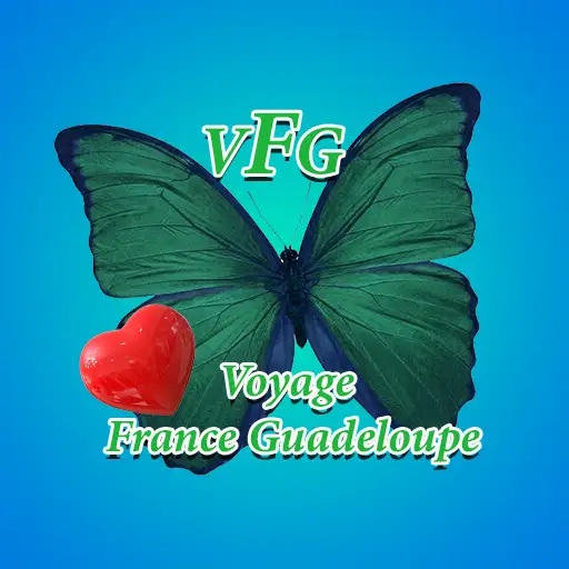 Damien voyage-france-guadeloupe