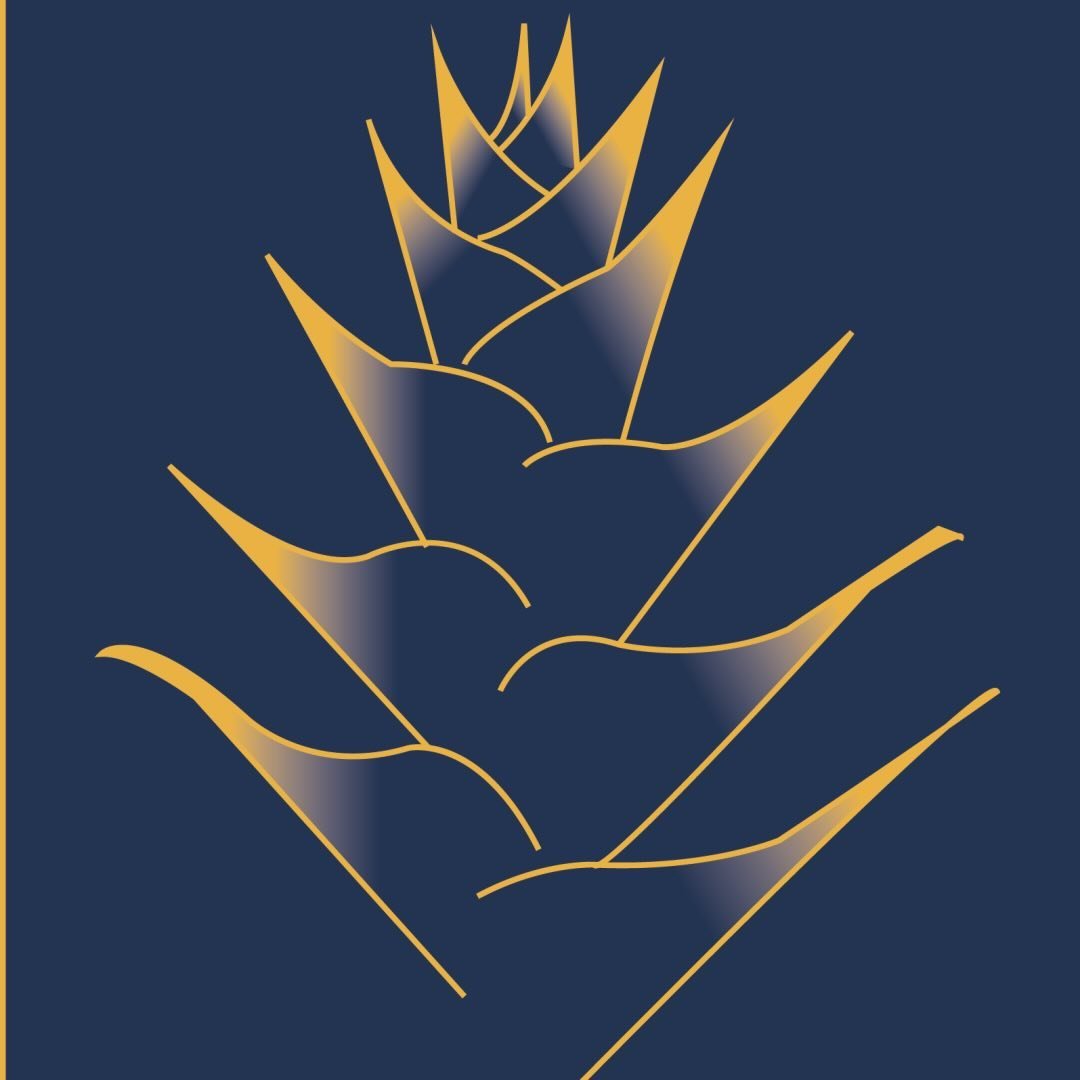 Delphine Tropique Conciergerie